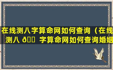 在线测八字算命网如何查询（在线测八 🐠 字算命网如何查询婚姻状况）